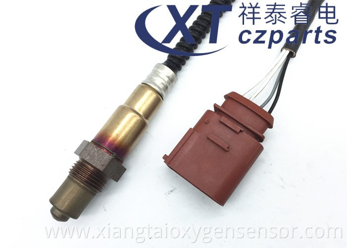C5 Oxygen Sensor